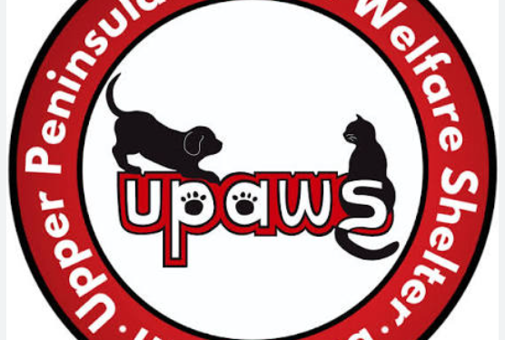 A suspected animal neglect case has stretched the Upper Peninsula Animal Welfare Shelter to its limit, leaving the shelter temporarily unable to accept stray or surrendered dogs.