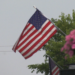 The festivities include a parade through downtown, live music, food vendors, games, and activities for all ages.