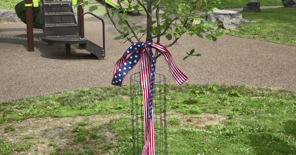 Three new ‘Liberty Trees’ unveiled in Stewart Park