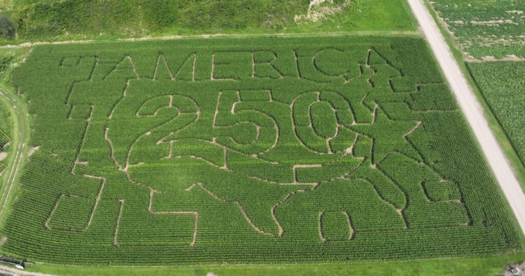 Bradley Farms Creates America250-Themed Corn Maze