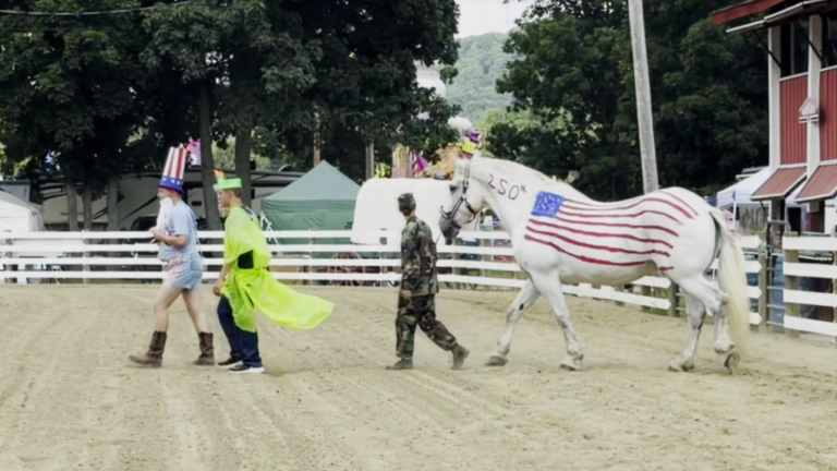 Horsing Around at the Warren County Fair