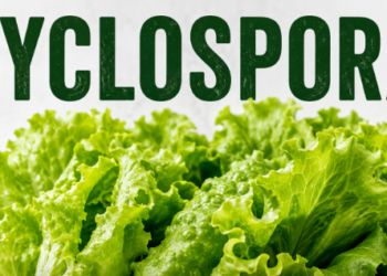 The Michigan Department of Health and Human Services says residents can once again follow normal food safety practices when eating lettuce and salad greens as the state's cyclosporiasis outbreak continues to slow.