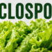 The Michigan Department of Health and Human Services says residents can once again follow normal food safety practices when eating lettuce and salad greens as the state's cyclosporiasis outbreak continues to slow.