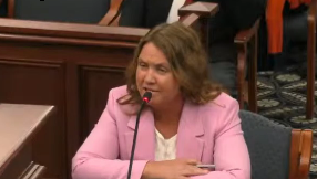 Former state Representative Sara Cambensy will remain on the November general election ballot