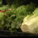 Is lettuce safe to eat?