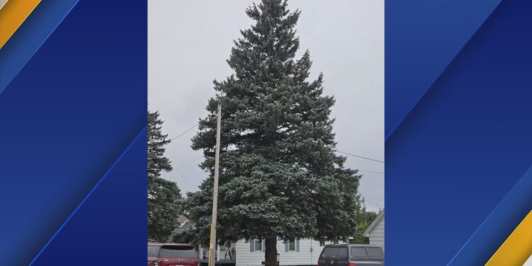 Courtesy: Michigan Department of Technology, Management & Budget