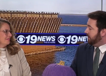 Insights: October recognized as Domestic Violence Awareness Month