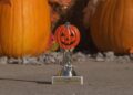Gladstone businesses participate in window decorating contest ahead of Harvest Festival