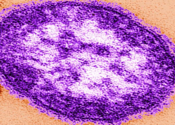 Measles Outbreak in Pennsylvania Highlights Vaccine Skepticism and Public Health Trust