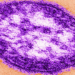 Measles Outbreak in Pennsylvania Highlights Vaccine Skepticism and Public Health Trust