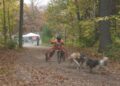 UP200 Dryland Dash returns for tenth year next weekend