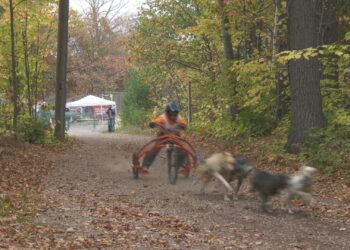 UP200 Dryland Dash returns for tenth year next weekend
