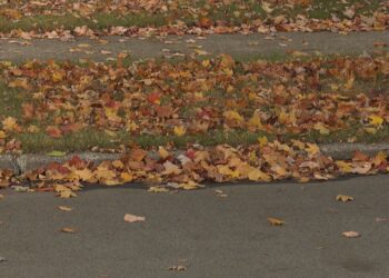 Escanaba Public Works begins fall leaf collection, asks residents to ‘Shake Your Mailbox’