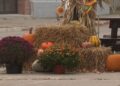 Businesses to participate in Great Gladstone Harvest Festival Sunday, Oct. 25