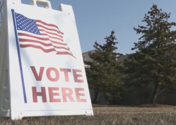 Senate Democrats to Deploy Election Observers Across the Nation