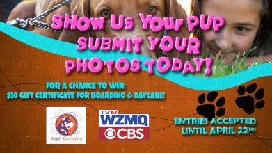 Show Us Your Pup 2026